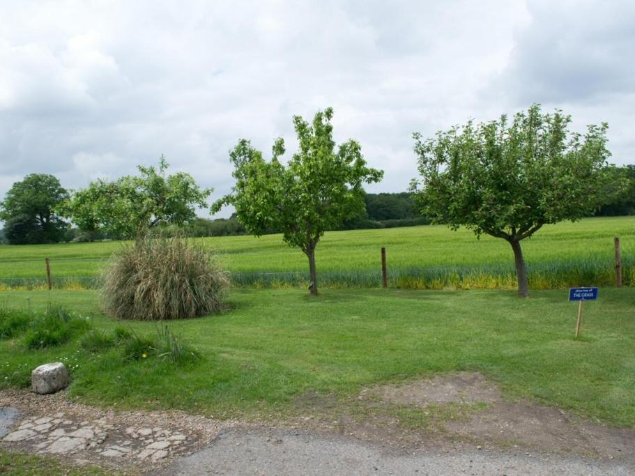 Woodview B Colchester Birch Екстериор снимка