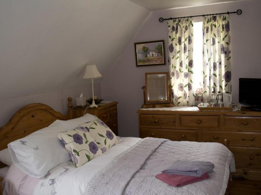 Woodview B Colchester Birch Стая снимка